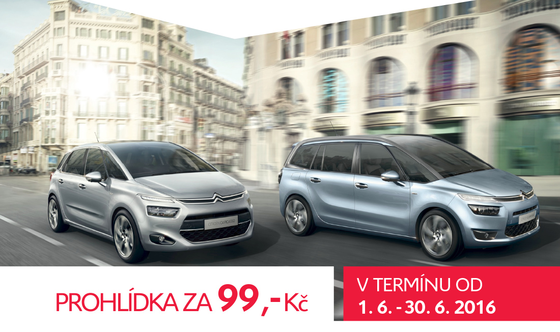 prohlidka-pred-dovolenou-citroen-praha